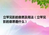立竿见影的意思及用法（立竿见影的意思是什么）