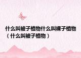 什么叫被子植物什么叫裸子植物（什么叫被子植物）