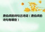 唐伯虎的诗句古诗词（唐伯虎的诗句有哪些）