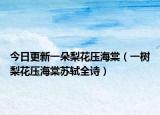 今日更新一朵梨花压海棠（一树梨花压海棠苏轼全诗）