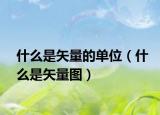 什么是矢量的单位（什么是矢量图）