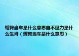 螳臂当车是什么意思自不量力是什么生肖（螳臂当车是什么意思）
