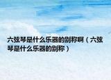 六弦琴是什么乐器的别称啊（六弦琴是什么乐器的别称）