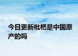 今日更新枇杷是中国原产的吗