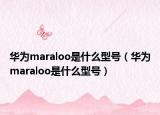 华为maraloo是什么型号（华为maraloo是什么型号）