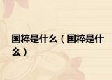 国粹是什么（国粹是什么）