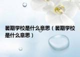 暑期学校是什么意思（暑期学校是什么意思）