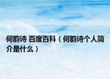 何韵诗 百度百科（何韵诗个人简介是什么）