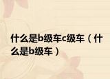 什么是b级车c级车（什么是b级车）