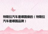 特斯拉汽车是哪国做的（特斯拉汽车是哪国品牌）