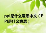 ppi是什么意思中文（PPI是什么意思）