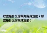 欧盟是什么时候开始成立的（欧盟是什么时候成立的）