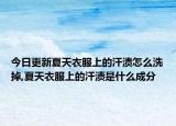 今日更新夏天衣服上的汗渍怎么洗掉,夏天衣服上的汗渍是什么成分
