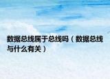 数据总线属于总线吗（数据总线与什么有关）