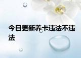 今日更新养卡违法不违法