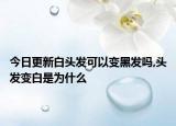 今日更新白头发可以变黑发吗,头发变白是为什么