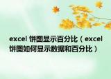 excel 饼图显示百分比（excel饼图如何显示数据和百分比）