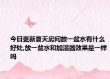 今日更新夏天房间放一盆水有什么好处,放一盆水和加湿器效果是一样吗