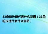 33朵粉玫瑰代表什么花语（33朵粉玫瑰代表什么意思）