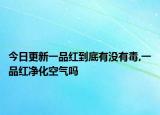 今日更新一品红到底有没有毒,一品红净化空气吗