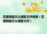 百度网盘怎么提取文件链接（百度网盘怎么提取文件）