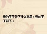 我的王子殿下什么意思（我的王子殿下）