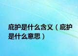 庇护是什么含义（庇护是什么意思）