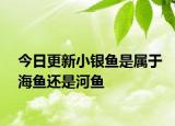 今日更新小银鱼是属于海鱼还是河鱼