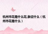 杭州市花是什么花,象征什么（杭州市花是什么）