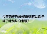今日更新干粽叶直接煮可以吗,干粽子叶煮多长时间好