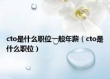 cto是什么职位一般年薪（cto是什么职位）