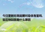 今日更新吃饱就睡对身体有害吗,饭后特别困是什么原因