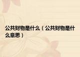 公共财物是什么（公共财物是什么意思）