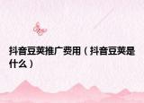 抖音豆荚推广费用（抖音豆荚是什么）