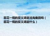 昙花一现的反义词是沧海桑田吗（昙花一现的反义词是什么）