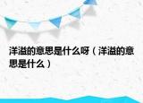 洋溢的意思是什么呀（洋溢的意思是什么）