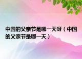 中国的父亲节是哪一天呀（中国的父亲节是哪一天）