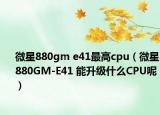 微星880gm e41最高cpu（微星880GM-E41 能升级什么CPU呢）