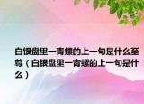 白银盘里一青螺的上一句是什么至尊（白银盘里一青螺的上一句是什么）