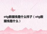 otg数据线是什么样子（otg数据线是什么）