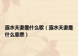 露水夫妻是什么歌（露水夫妻是什么意思）
