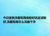 今日更新洗葡萄用面粉好还是淀粉好,洗葡萄用怎么洗最干净
