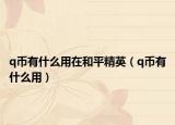 q币有什么用在和平精英（q币有什么用）