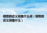 精致的近义词是什么词（精致的近义词是什么）