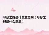 琴瑟之好是什么意思啊（琴瑟之好是什么意思）
