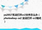 ps2017无法打开cr2文件怎么办（photoshop cs2 没法打开 cr2格式）