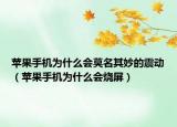 苹果手机为什么会莫名其妙的震动（苹果手机为什么会烧屏）