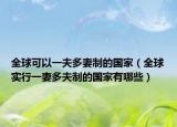 全球可以一夫多妻制的国家（全球实行一妻多夫制的国家有哪些）