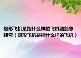 隐形飞机是指什么样的飞机脑筋急转弯（隐形飞机是指什么样的飞机）