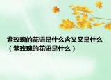 紫玫瑰的花语是什么含义又是什么（紫玫瑰的花语是什么）